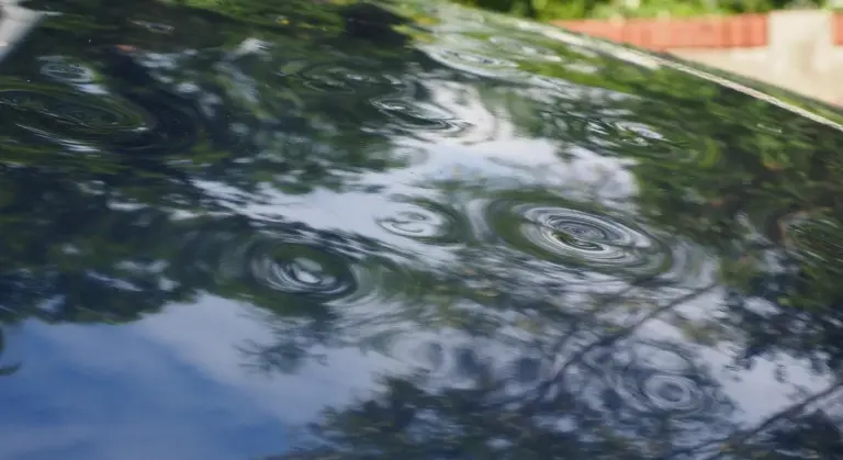 Close-up of a black car hood with water ripples and reflections of trees and sky