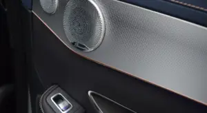 Close-up of a car interior door panel with a speaker and control buttons.