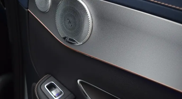 Close-up of a car interior door panel with a speaker and control buttons.