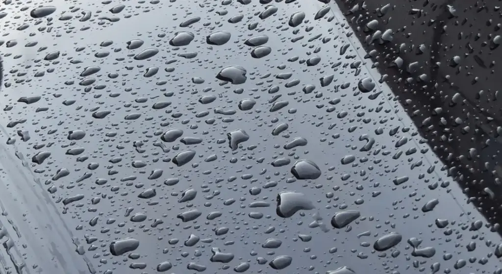 How Do I Remove Bird Poop from My Car Without Damaging the Paint?