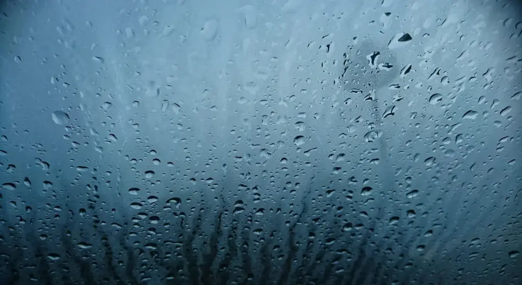 Can You Use Acrylic Paint on Car Windows? A Detailer’s Guide to Types and Application