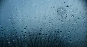 Close-up view of water droplets on a car window