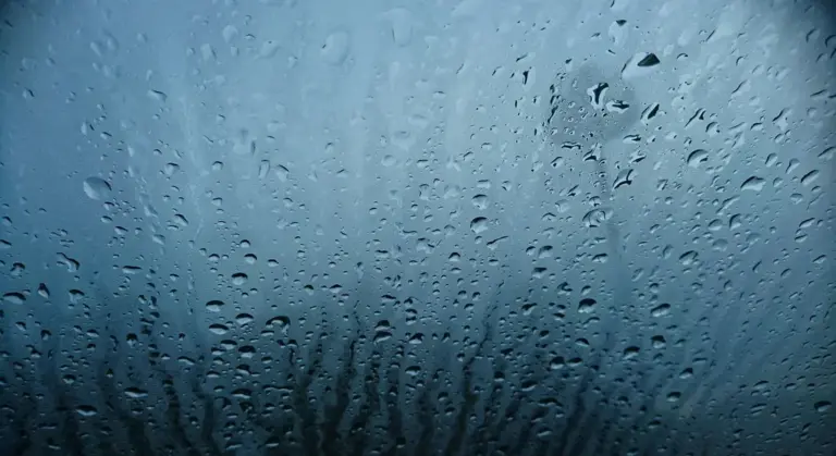 Close-up view of water droplets on a car window