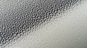 Close-up of water droplets beading on a ceramic-coated car paint surface, showing a hydrophobic effect.