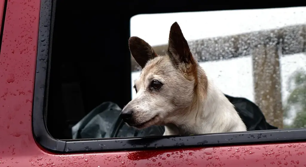 Is That Cloudy Haze on Your Windows Permanent?