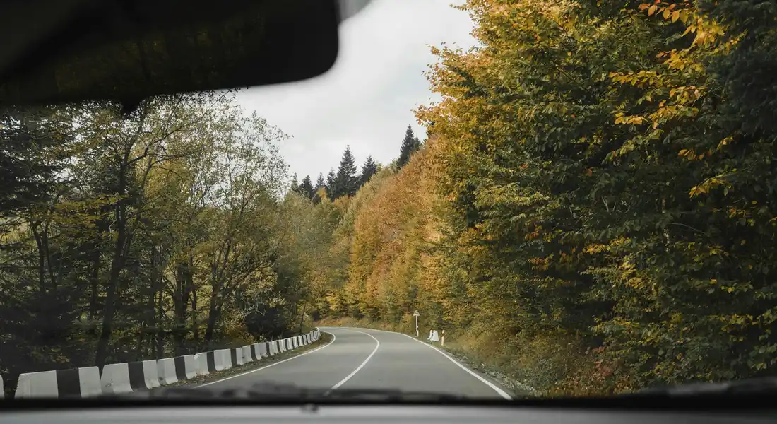 View from inside a car of a winding road ahead framed by trees as seen through the windshield