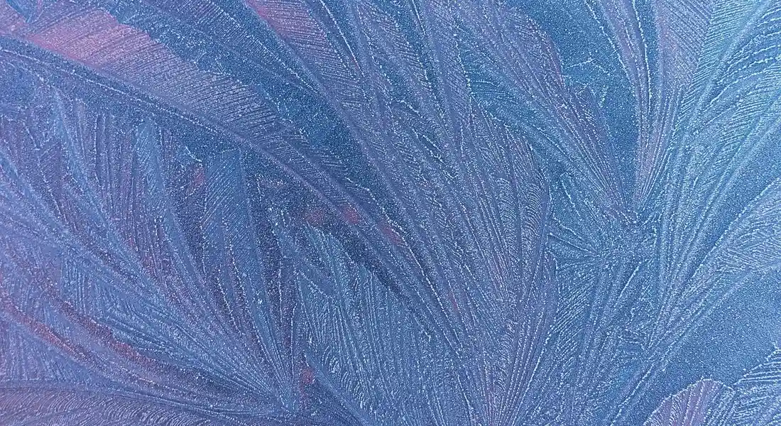 Close-up of frost patterns on a car window