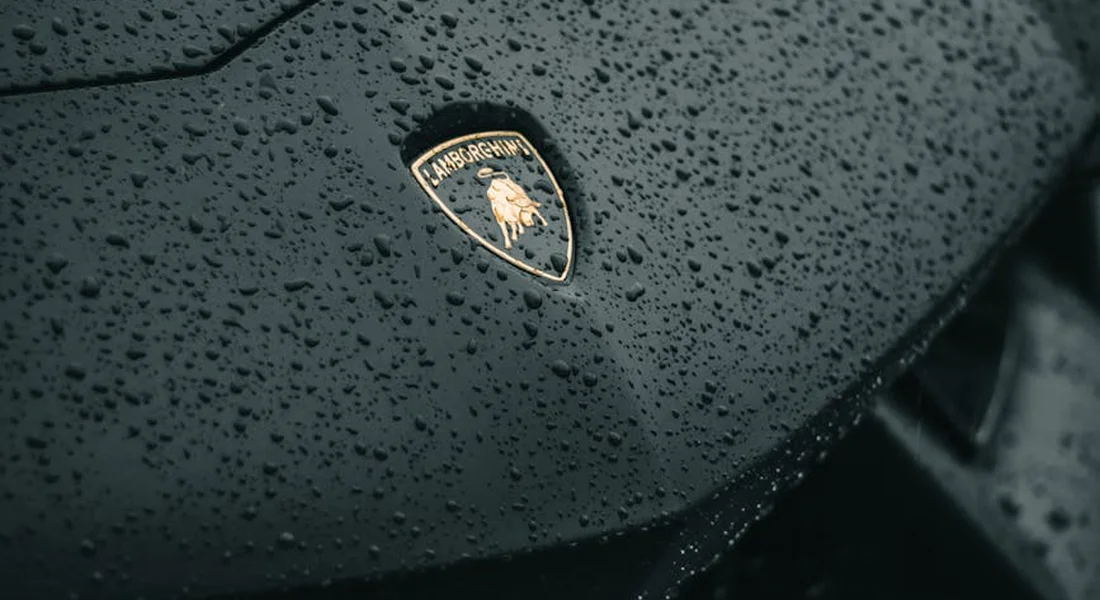 Close-up of a car hood with water droplets and a Porsche emblem, symbolizing preparation before removing paint spots.