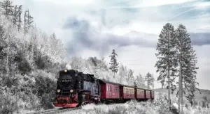 A vintage steam locomotive pulling red passenger cars through a snowy forest with tall pine trees.