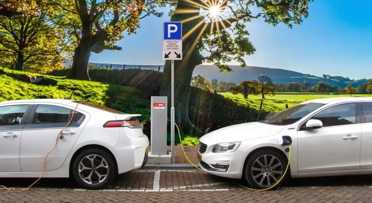 Two white cars parked in a parking lot with a 'P' sign and sunlight filtering through trees.