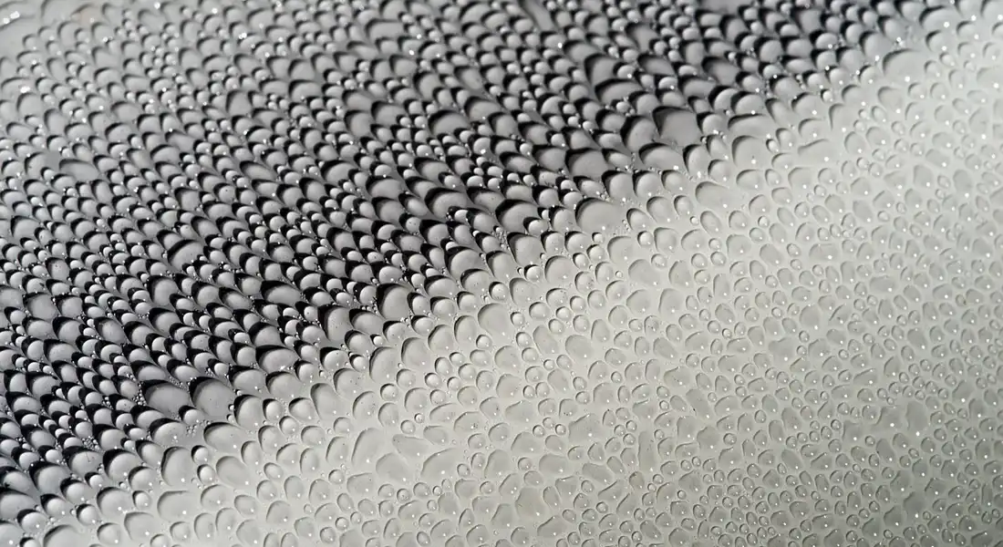 Close-up of water beads on a glossy car surface illustrating the hydrophobic effect of ceramic coating