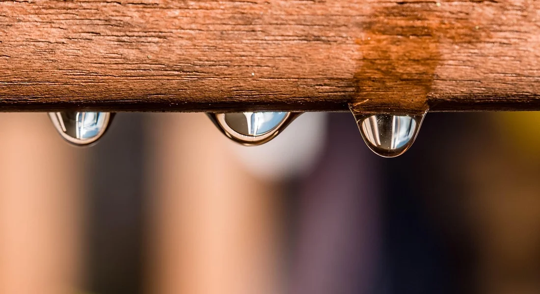 Close-up of a wooden edge with small droplets clinging to it
